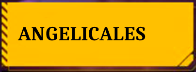 Angelicales